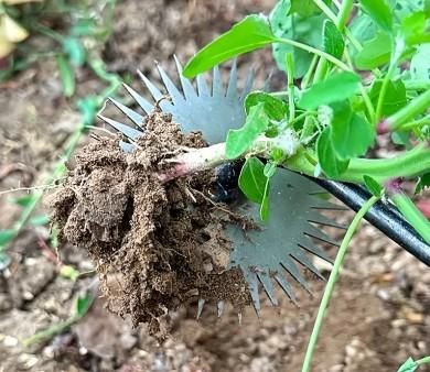 1pc Heavy Duty Forged Metal Weed Crusher