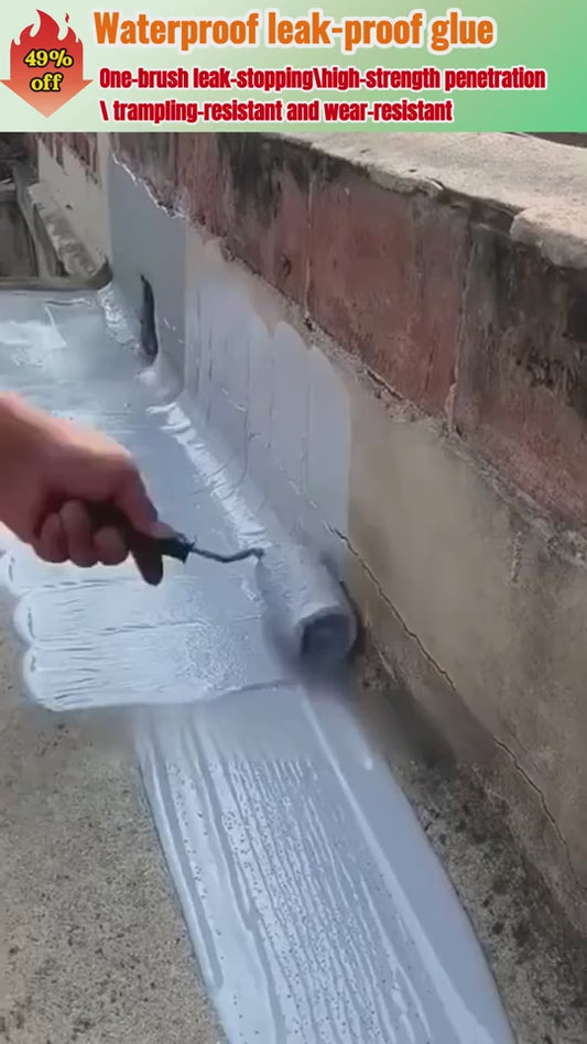 Waterproof Coating Exterior Wall Roof Leak Repair